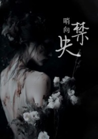 偷精向导被迫出走（1V2 高H）